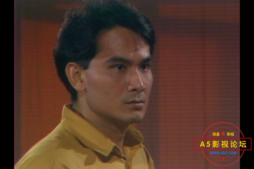 1988陈莉萍主演[云想衣裳][toogle源码-TS][576P][国语无字][20集全 每集约680M][13.6GB][陈莉萍 洪慧芳 林  ...