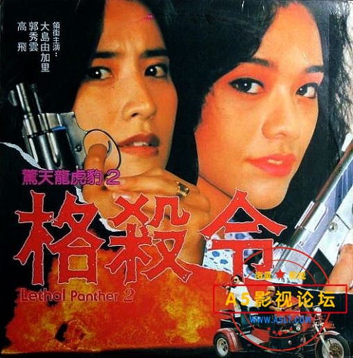  [香港] [驚天龍虎豹2格殺令] [1992][DVDRip/MKV/836.60MB][国粤双语无字][百度云] 