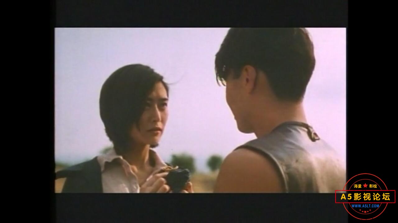  [香港] [仙人掌] [1994][DVDRip/MKV/1.01G][粤语中英字][MEGA盘] 