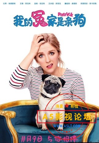 [2018]《我的冤家是条狗》[1080p/2.45G][中英双语中字][百度网盘][MP4]
