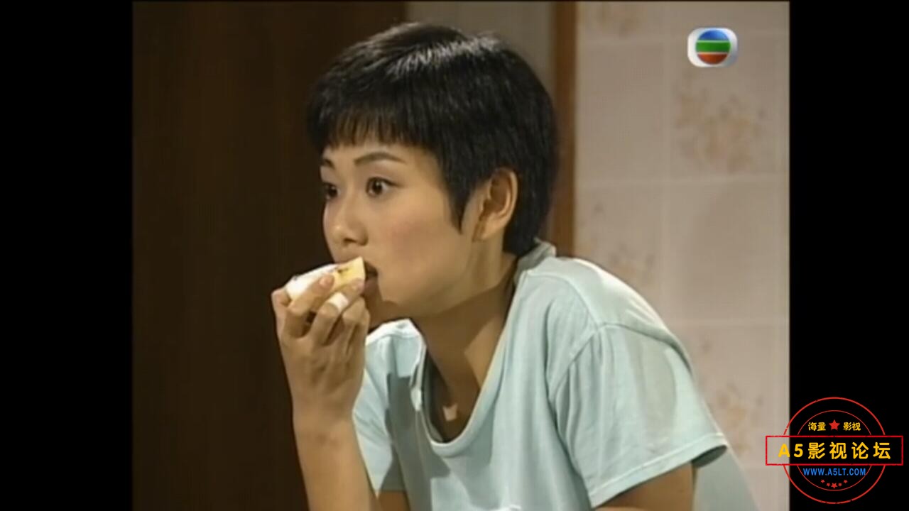  [香港/TVB/1997/大澳的天空 /GOTV源码/20集全/每集约1.7G/粤语无字/ts/百度云] 