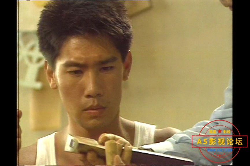 1988[似水柔情][toogle源码-TS][576P][国语无字][12集全 每集约550M][6.6GB][黄世南 叶素梅 陈之财 朱乐玲] ...