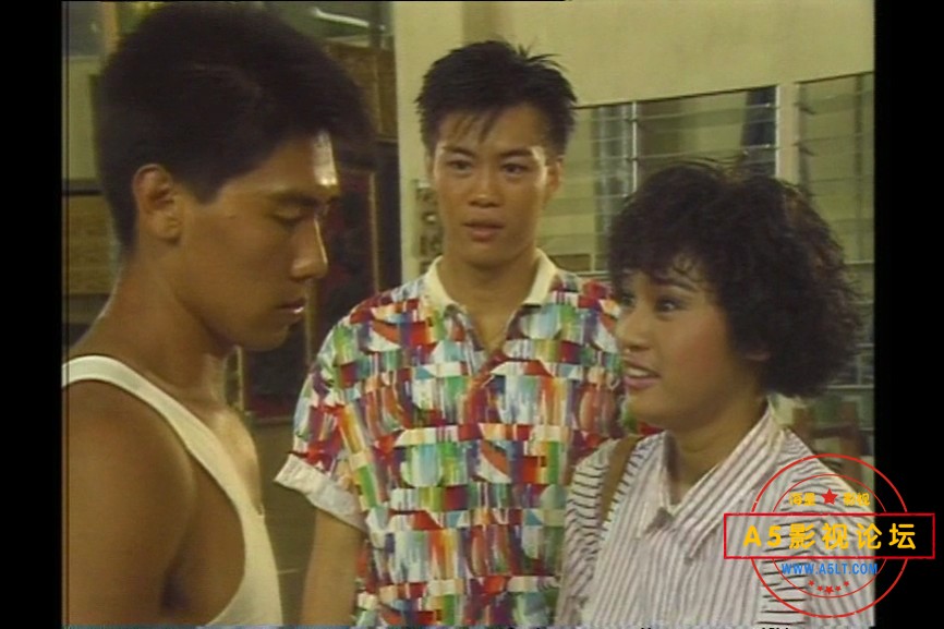 1988[似水柔情][toogle源码-TS][576P][国语无字][12集全 每集约550M][6.6GB][黄世南 叶素梅 陈之财 朱乐玲] ...