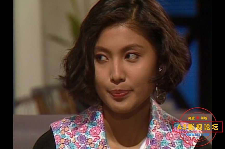 1994[潇洒走一回][toogle源码-TS][576P][国语无字][20集全 每集约600M][11.62GB][谢韶光 梁智强 黄嫊芳 刘  ...