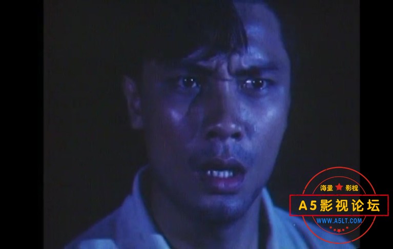 原盘自压 1991HK[曝光人物][DVDRip-MKV][640X480][国语中英双字][尔冬升 胡慧中 王俊棠 沙施姬亚][974M]百  ...