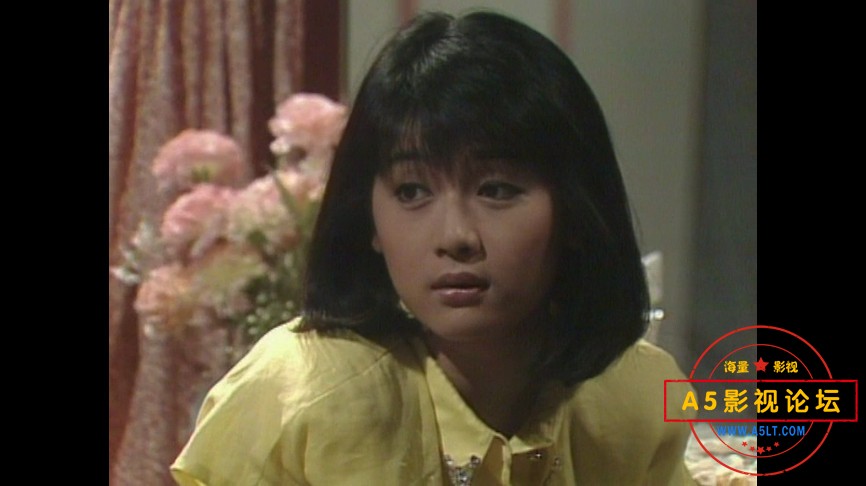 1987[君子好逑][toogle源码-TS][576P][国语无字][20集全 每集约650M][12.83GB][曾慧芬 黄世南 陈澍承 冯绍 ...