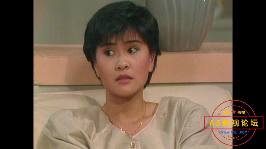 1987[君子好逑][toogle源码-TS][576P][国语无字][20集全 每集约650M][12.83GB][曾慧芬 黄世南 陈澍承 冯绍 ...