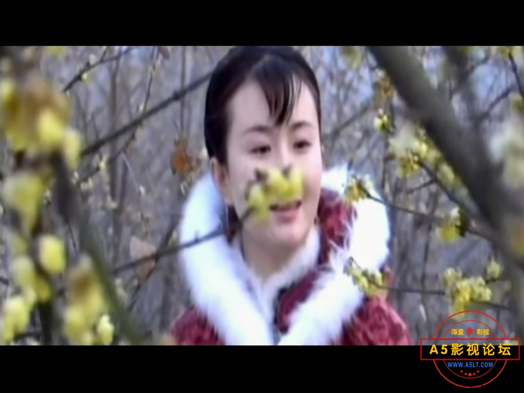 [银饰][高清修复海外无删减版mkv/1080P/3.51GB]2004年[国语无英文字幕版][百度云网盘下载] 