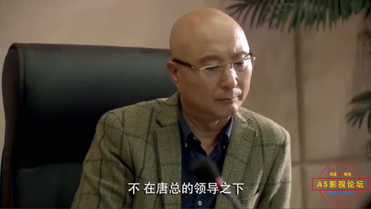 [百度][2015][好大一个家][38集][540P HDTV/MKV/集约348][杨立新/刘蓓/陈佩斯]