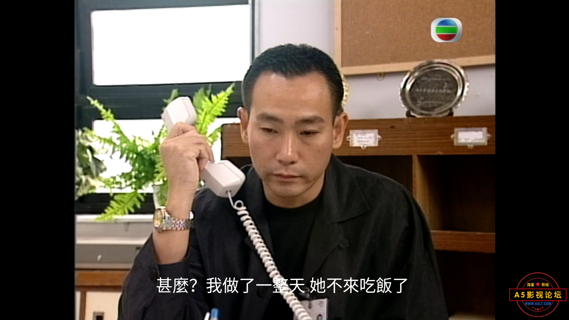 [香港TVB][鉴证实录2/1999][720高清][每集约820M/20集全][粤语在线中字][百度云下载][林保怡/陈慧珊]