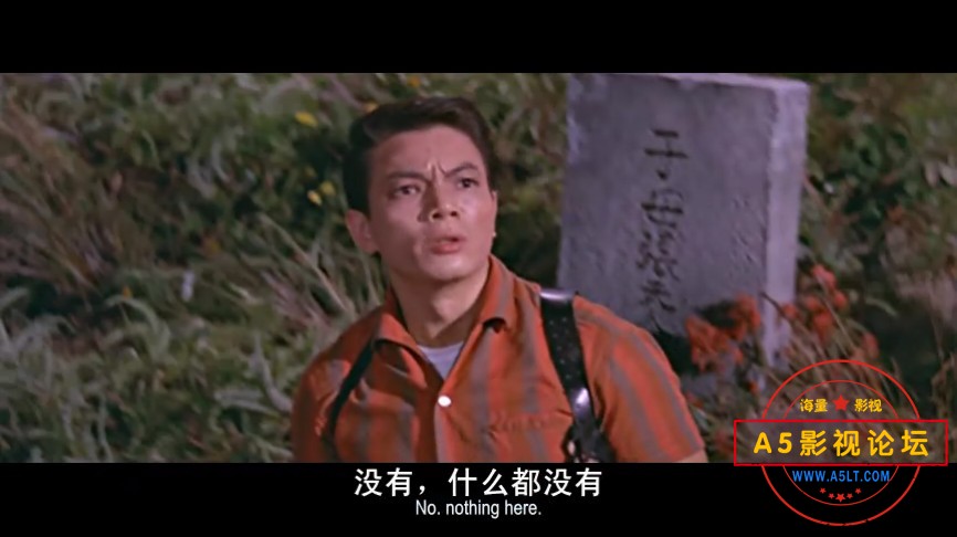 1966邵氏经典[金菩萨][DVDRip-RMVB][486P][国语中英双字][张冲 林翠 罗维][587M]百度网盘