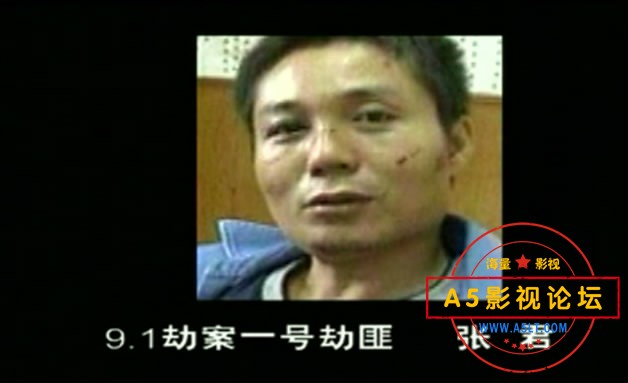 张君大案侦破纪实mkv1.30GB百度网盘