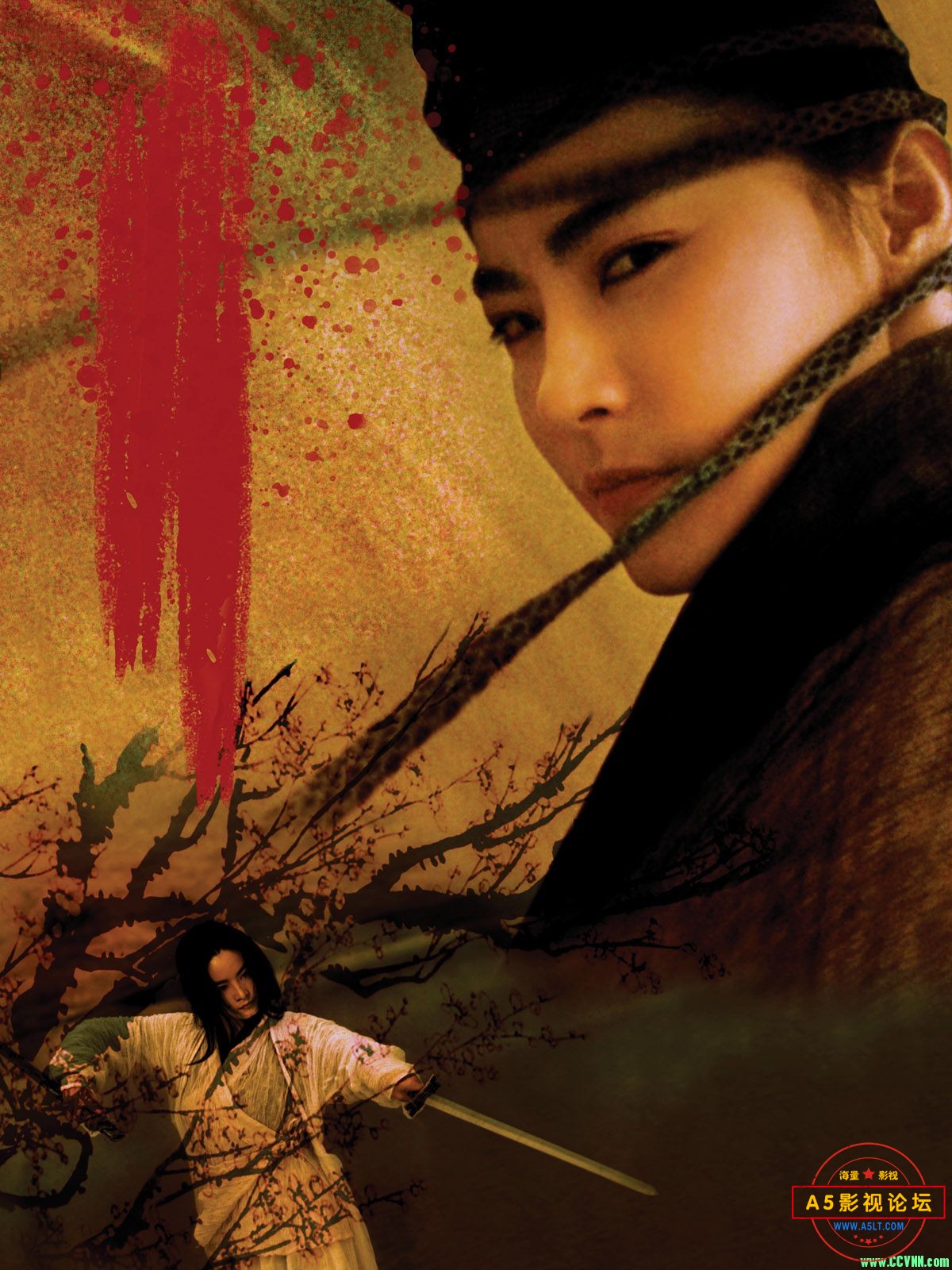 [东邪西毒：终极版][2008][国粤双语][BD1080p.x265.10bit][6.18G]