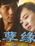 [中国内地][2010][孽缘][都市/爱情][李晨/霍思燕/李曼][国语中字][25集未删减版][MKV/每集约150MB3.27G