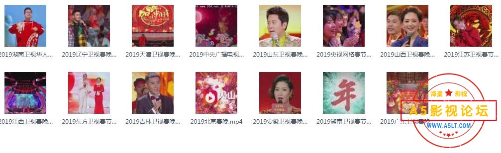 2019猪年春晚大集合
