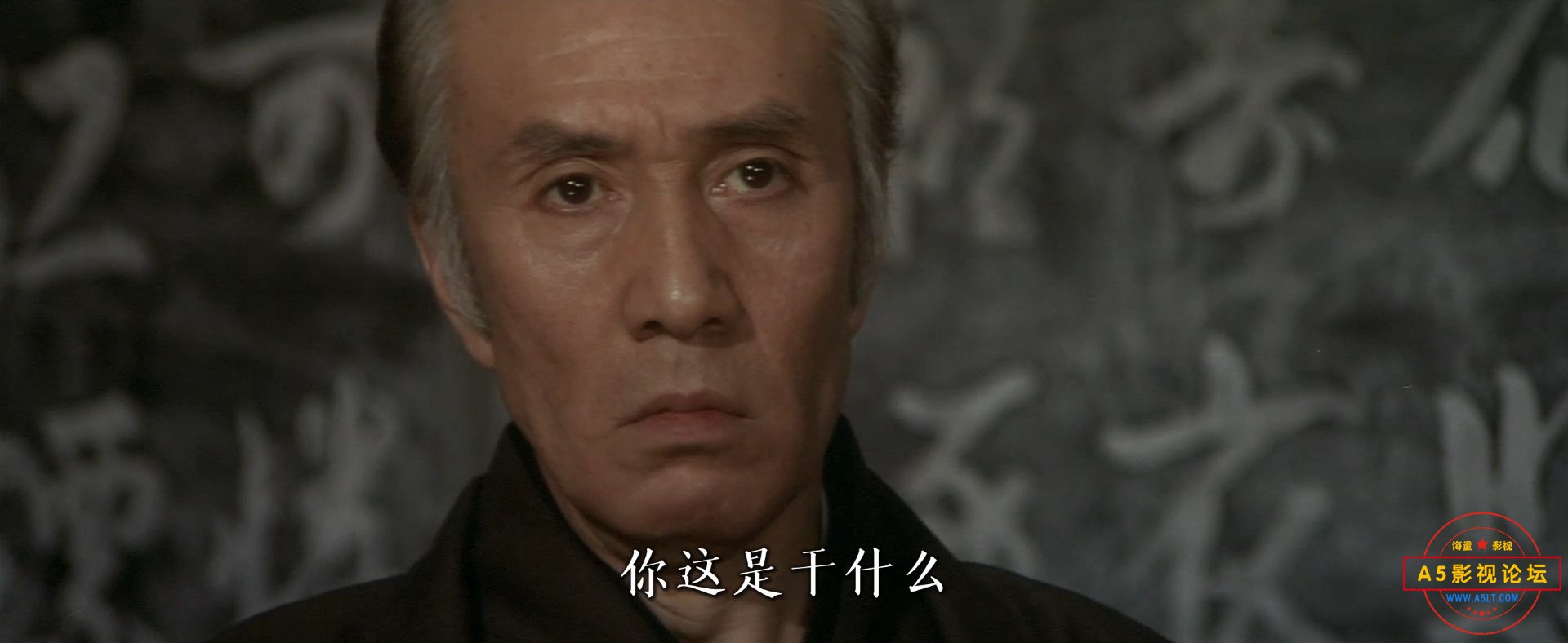追捕迅雷资源下载