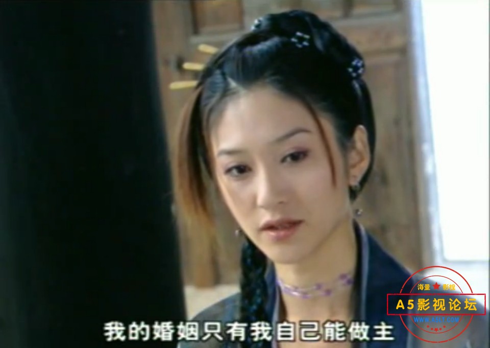 [百度][国产][2002][浪迹天涯][吴若甫/咏梅/李小冉][国语中字][全30集][MKV/每集约450M]