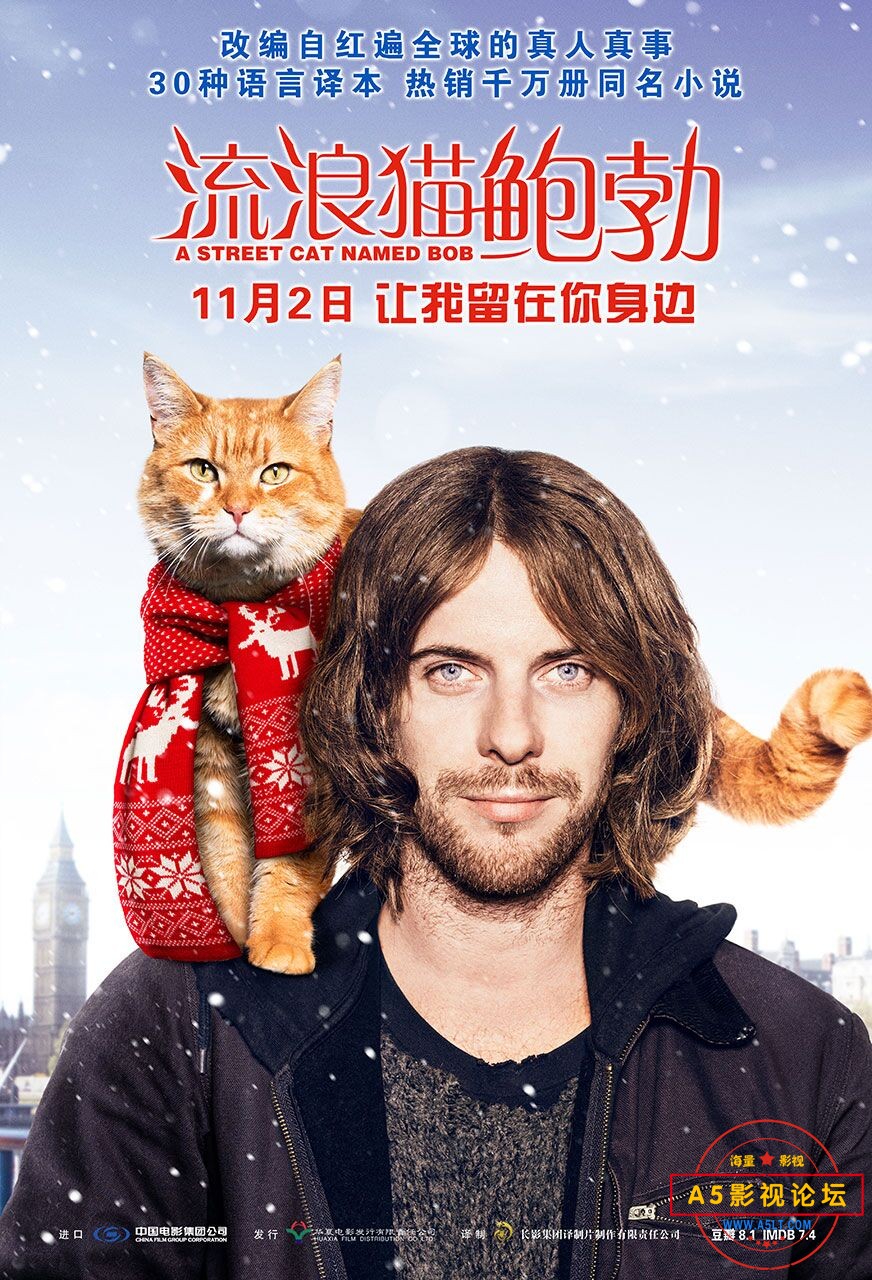 猫.jpg