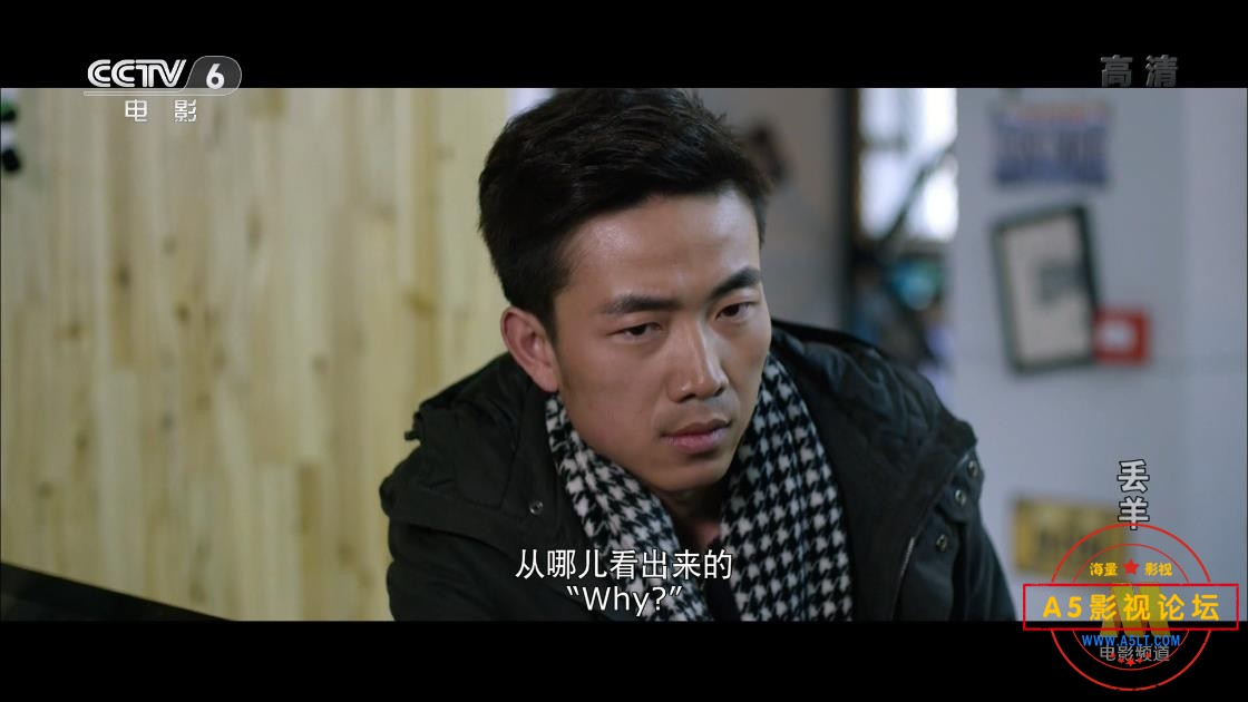 [国产电影][丢羊][百度云网盘资源下载][CCTV录制][1080P高清TS/13G][2016年][任帅]