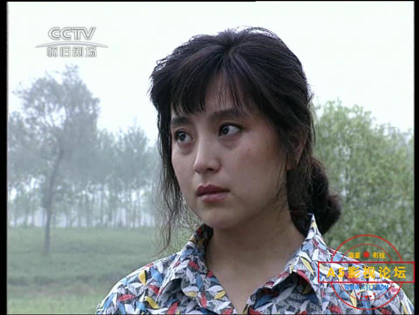 [经典农村剧][篱笆女人和狗/辘轳女人和井/古船女人和网][百度云网盘资源下载][多版本][1080P高清TS/53G/每  ...