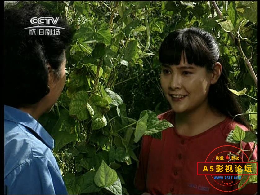 [经典农村剧][篱笆女人和狗/辘轳女人和井/古船女人和网][百度云网盘资源下载][多版本][1080P高清TS/53G/每  ...