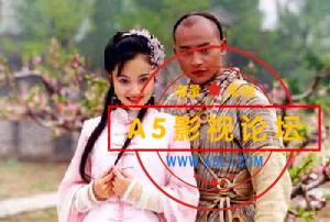[电视剧][2001年]少年英雄之洪文定][480/MKV/7.06G/20集全]