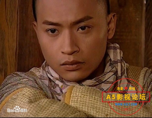 [电视剧][2001年]少年英雄之洪文定][480/MKV/7.06G/20集全]