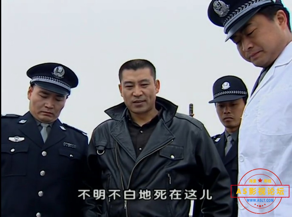 [百度][2001][黑冰][刑侦][20集全][国语中字][mkv-720P/每集699M][王志文 / 蒋雯丽]
