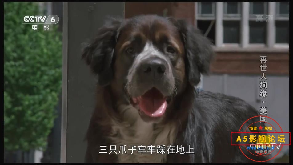 [美国电影][再世人狗缘][百度云网盘资源下载][1080P高清MKV/1.3G][1995年][央译配音][国语][字幕]