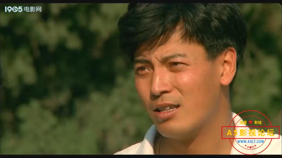 [老电影][毕业交响曲][百度云网盘资源下载][720P高清MKV/630M][1996年][宫晓瑄/王海地/李吉明][无字幕]