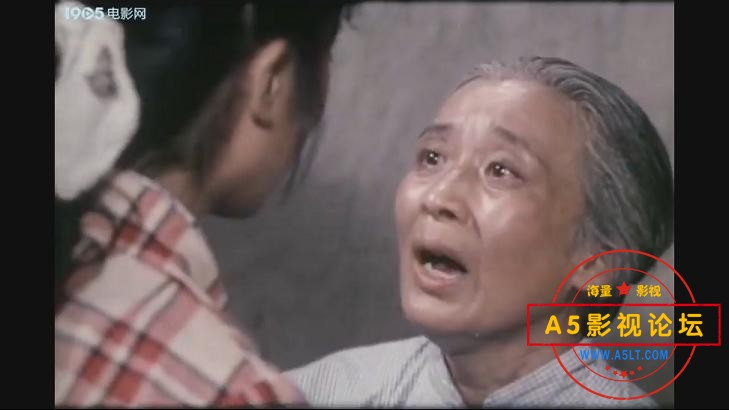 桔园情