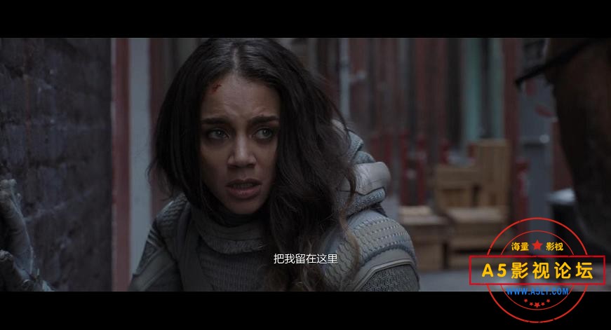 [美国电影][蚁人2黄蜂女现身][百度云网盘资源下载][1080PP高清MKV/2.4G][2018年][英语中字幕][惊悚/科幻]