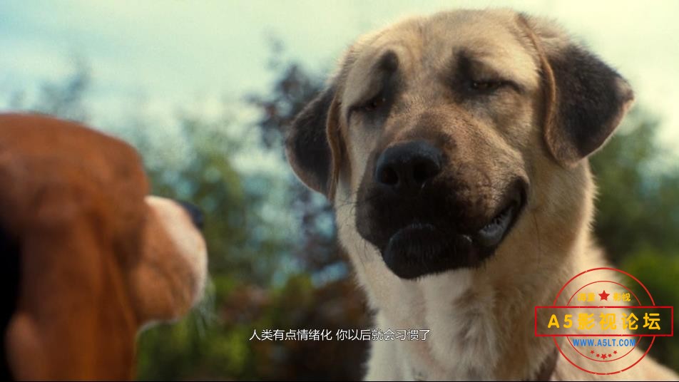 [美国/澳大利亚电影][猫狗大战1][百度云网盘资源下载][720P高清MKV/2.4G][2010年][国英双语][中字幕]