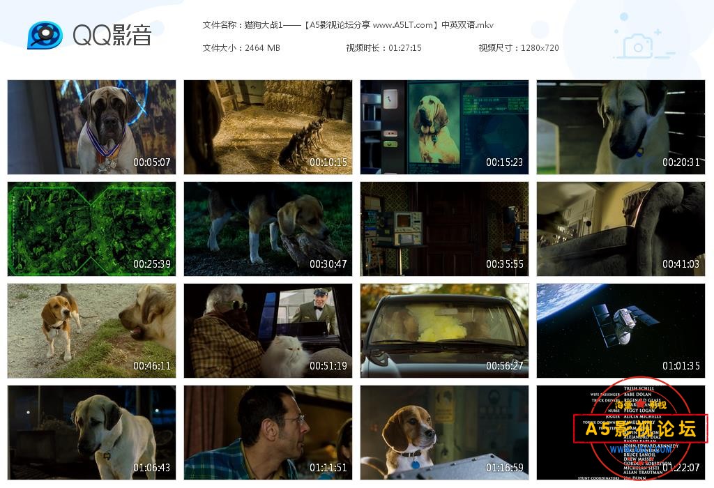 [美国/澳大利亚电影][猫狗大战1][百度云网盘资源下载][720P高清MKV/2.4G][2010年][国英双语][中字幕]