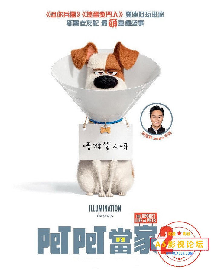 petpet当家2-1.jpg