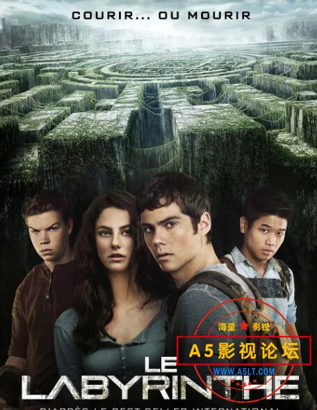 10.移动迷宫.jpg