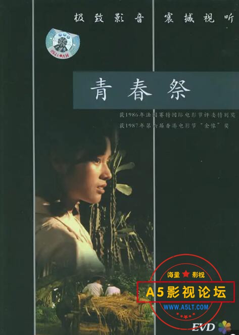 6.青春祭.jpg