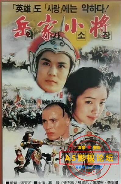 5.岳家小将.jpg