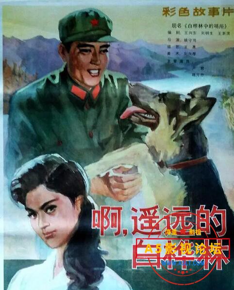 8.白桦林中的哨所.jpg