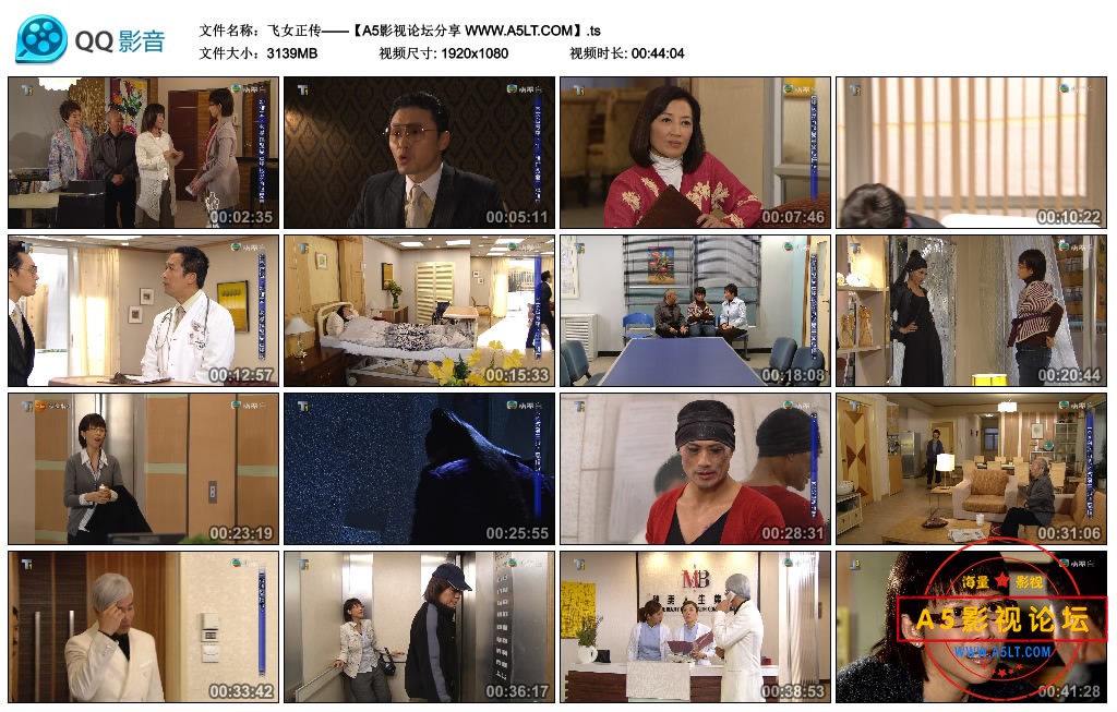 飞女正传