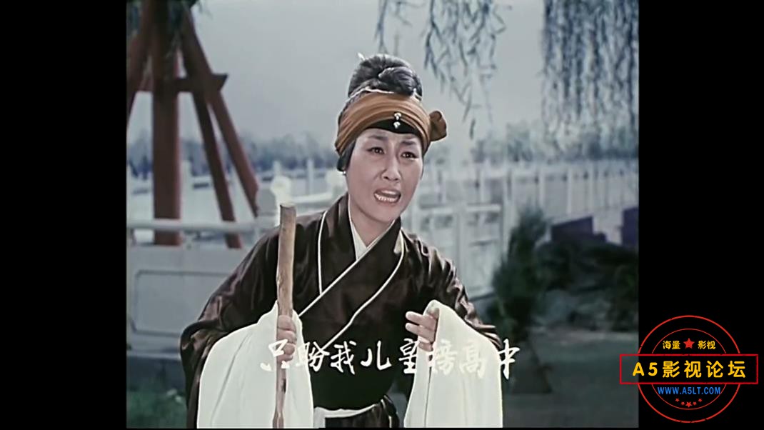 屠夫状元 国语中字——【A5影视论坛】[00_29_18][20200823-230300].jpg