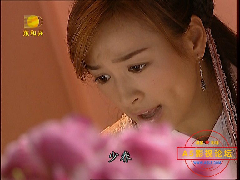 F__X264_[2002][中国内地]《火帅》[国语中字][28集全][10DVD5][41GB]_碟10_20200909_1.jpg