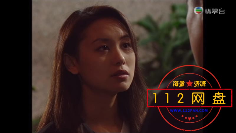 刑事侦缉档案2网盘