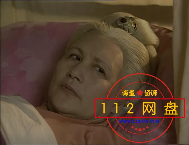 上错花轿嫁对郎百度网盘下载
