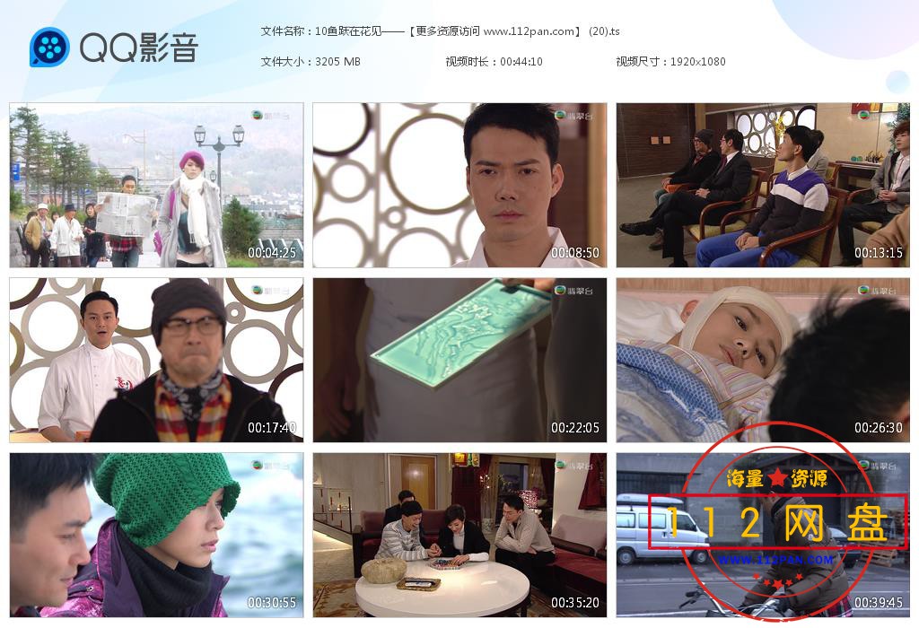 鱼跃在花见网盘 