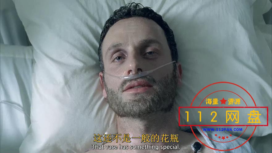 行尸走肉网盘