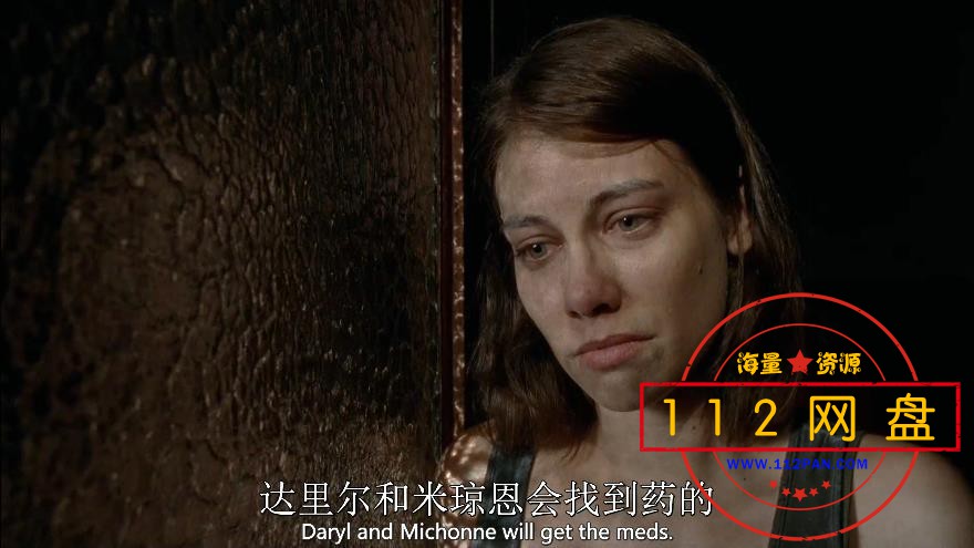 行尸走肉网盘
