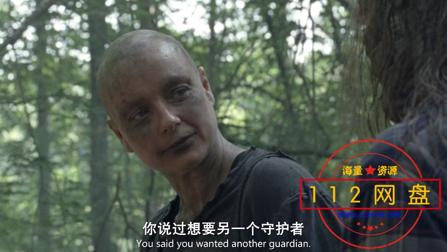 行尸走肉高清
