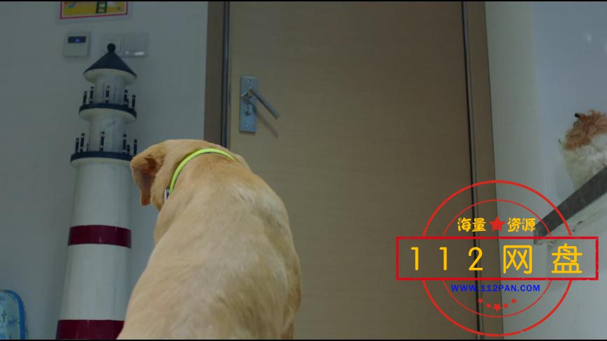 神犬小七第二部百度云资源