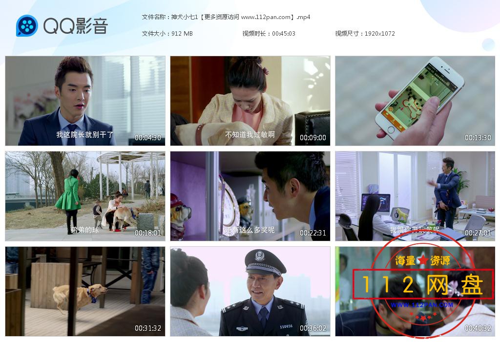 神犬小七1百度云资源